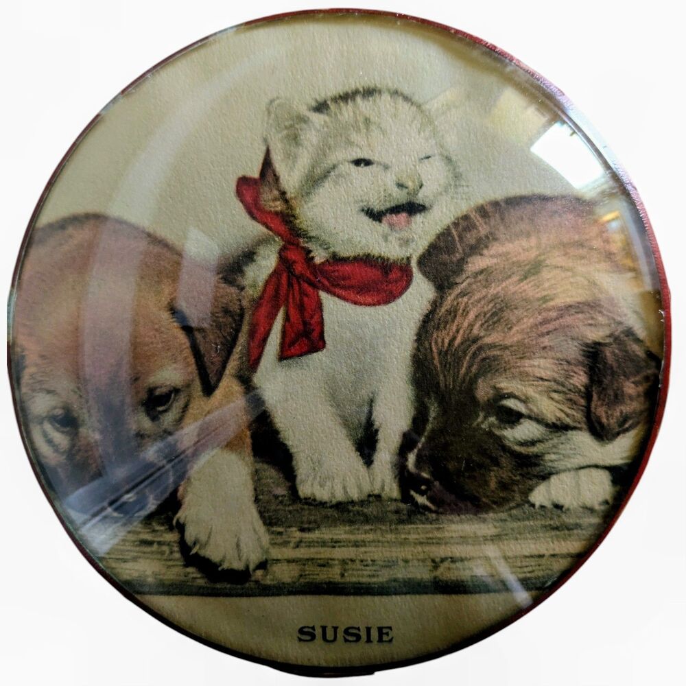 Vintage Peter Watson Round 6" Convex Studio Glass "Susie" Kitten Puppies 1940s